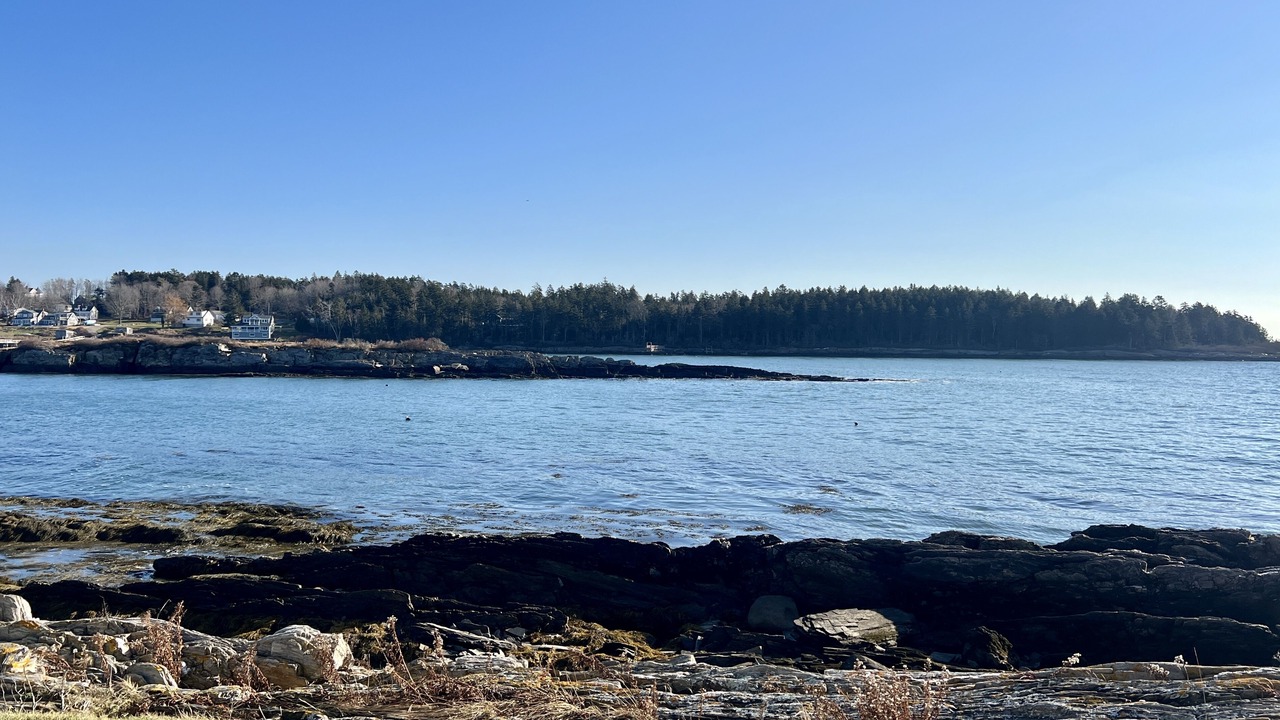 Photo of Others in Orrs Island