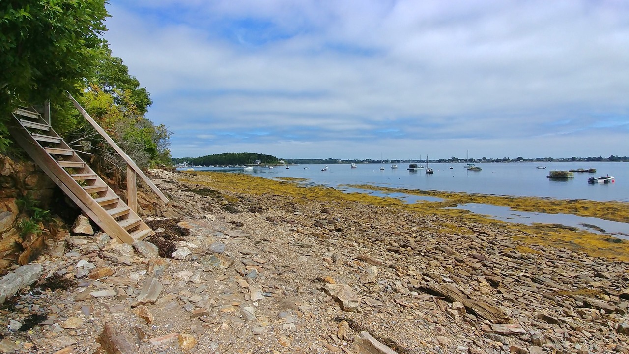 Photo of Others in Mid-Coast and Islands