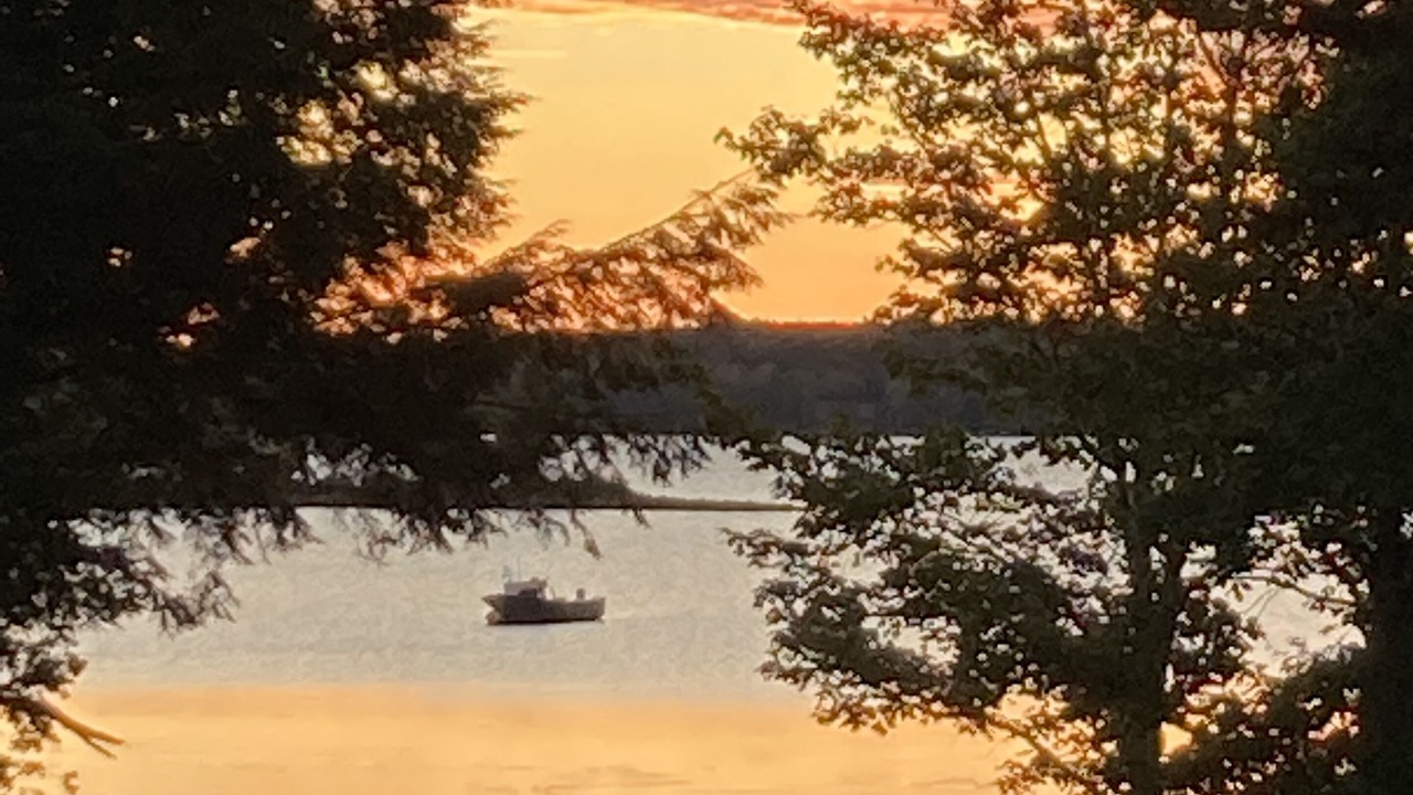 Photo of Others in East Machias