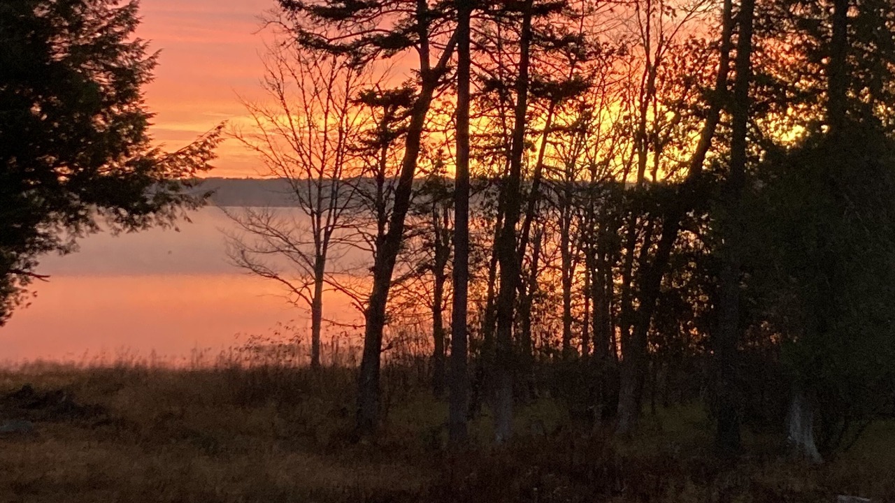 Photo of Outdoor in East Machias