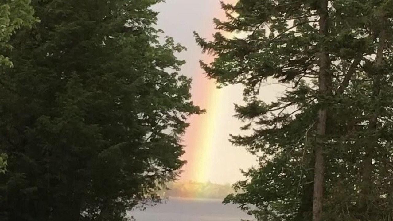 Photo of Others in East Machias