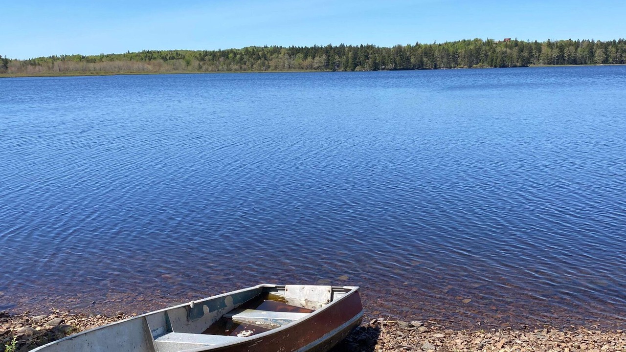 Photo of Others in East Machias
