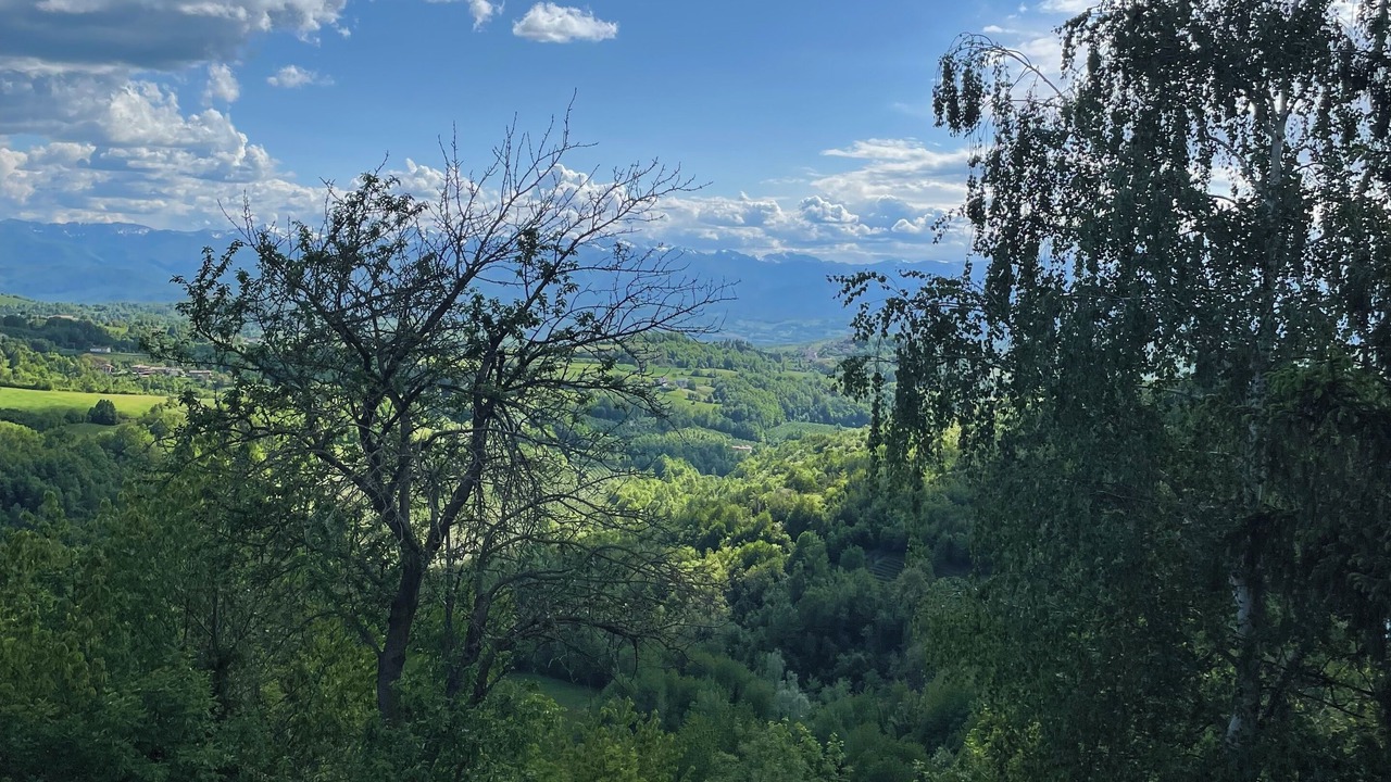 Photo of Outdoor in Murazzano