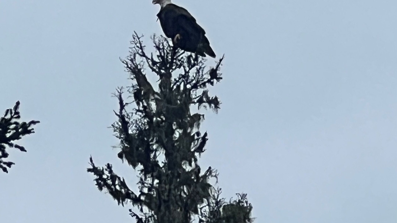 Photo of Others in Portage Lake