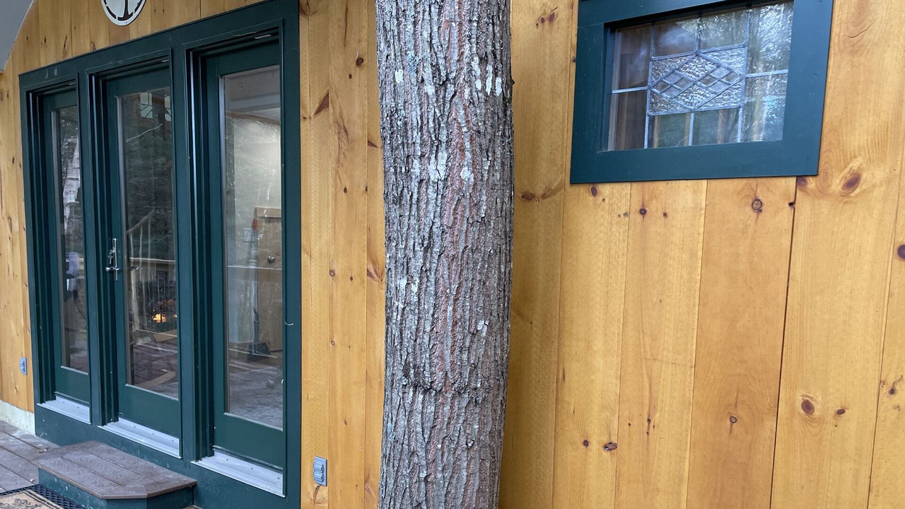 Photo of Outdoor in Rumford Center