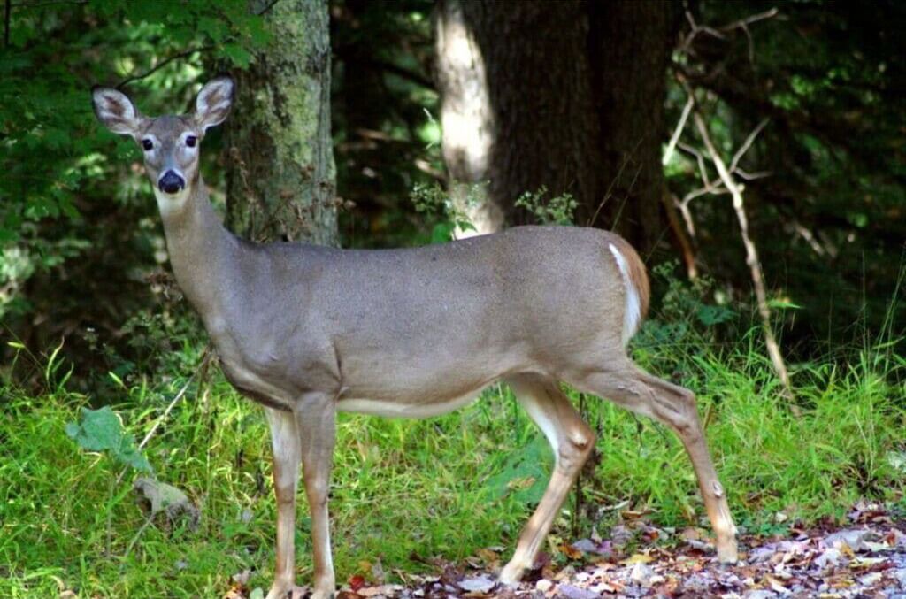 Photo of Others in Stewartstown