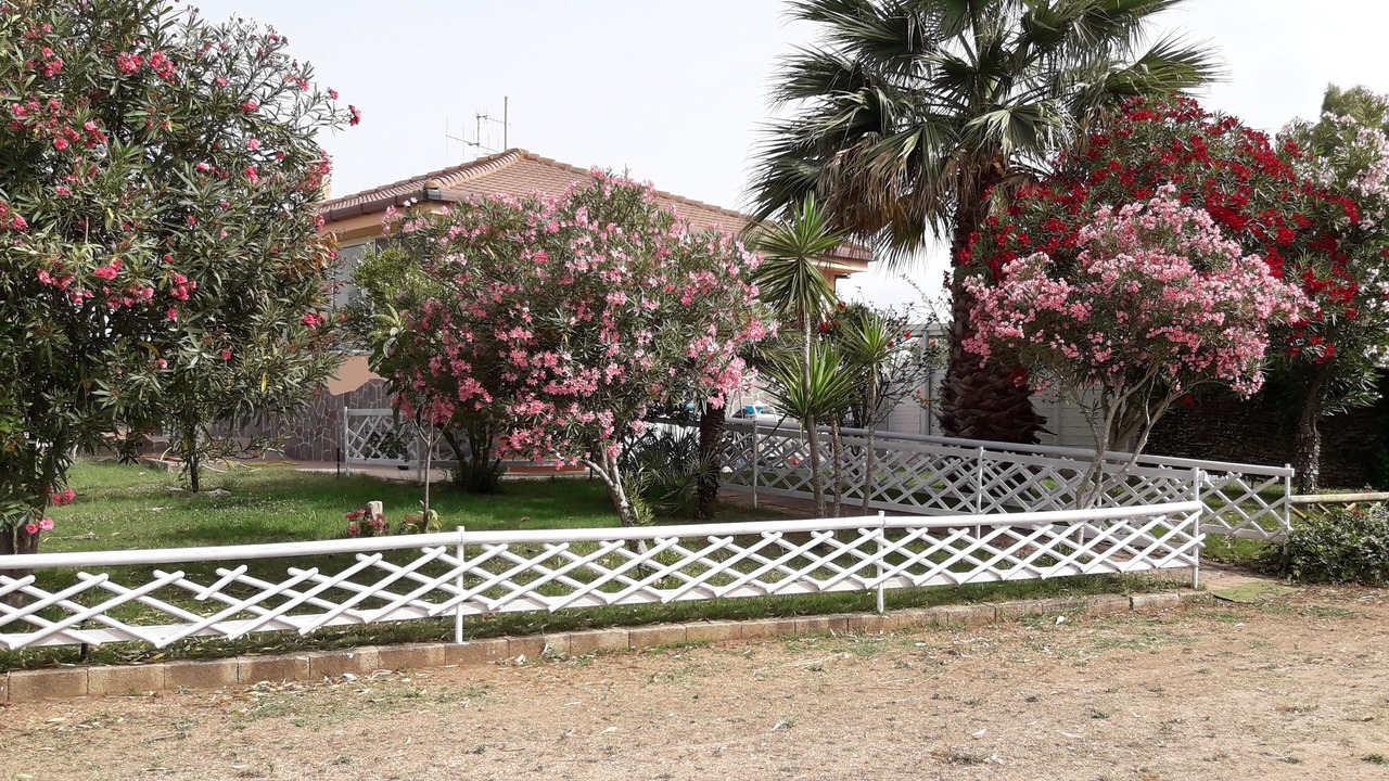Photo of Outdoor in Alghero