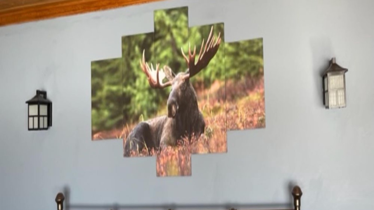 Photo of Bedroom in Orland