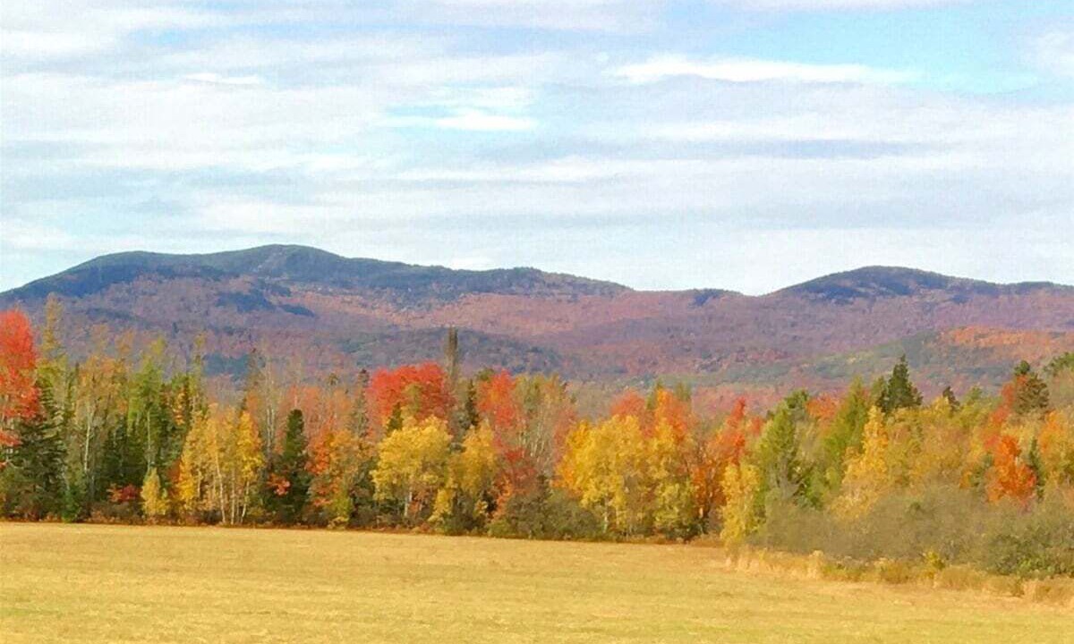Photo of Outdoor in Bethel
