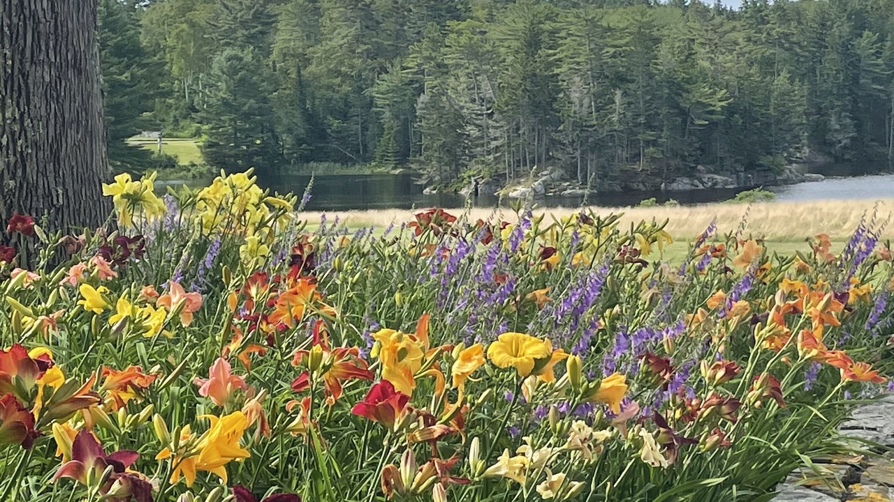 Photo of Outdoor in Bayville