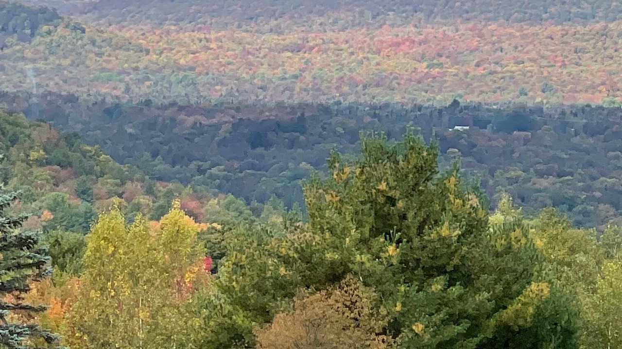 Photo of Outdoor in Columbia