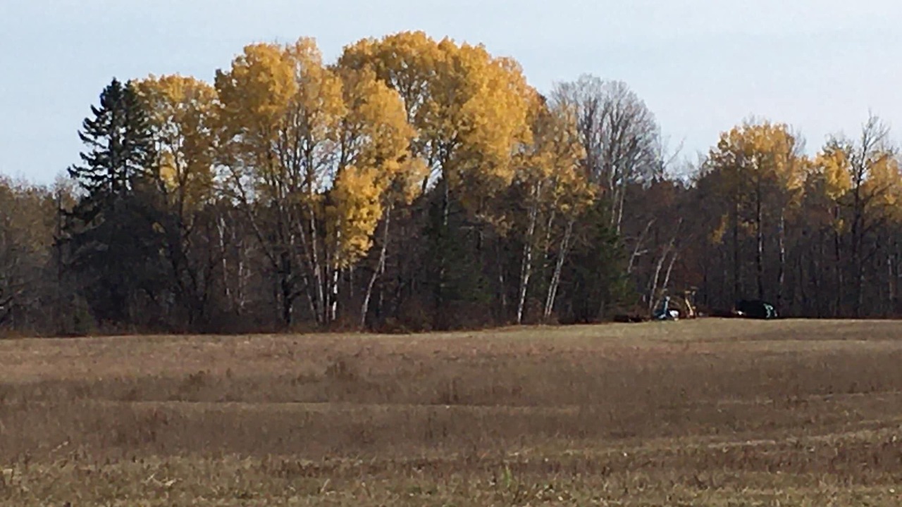 Photo of Outdoor in Oxbow