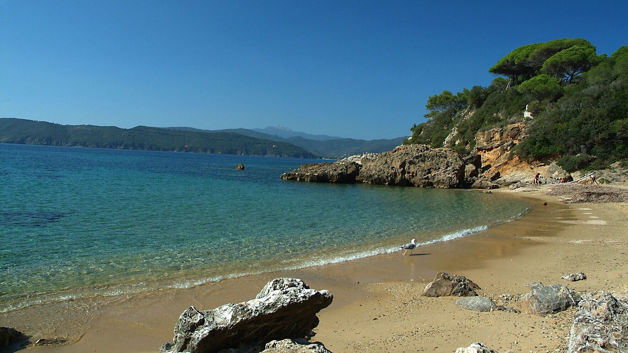 Photo of Others in Campo nell'Elba
