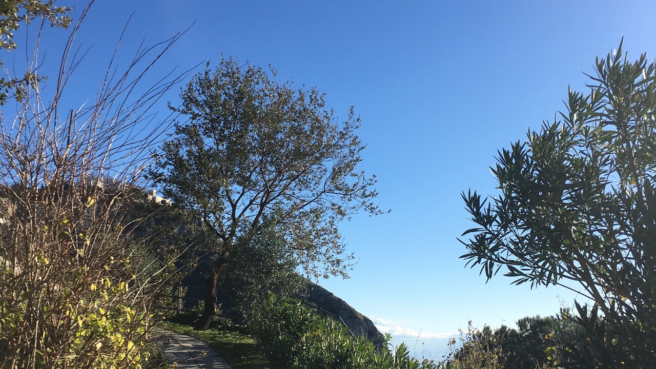 Photo of Outdoor in San Michele