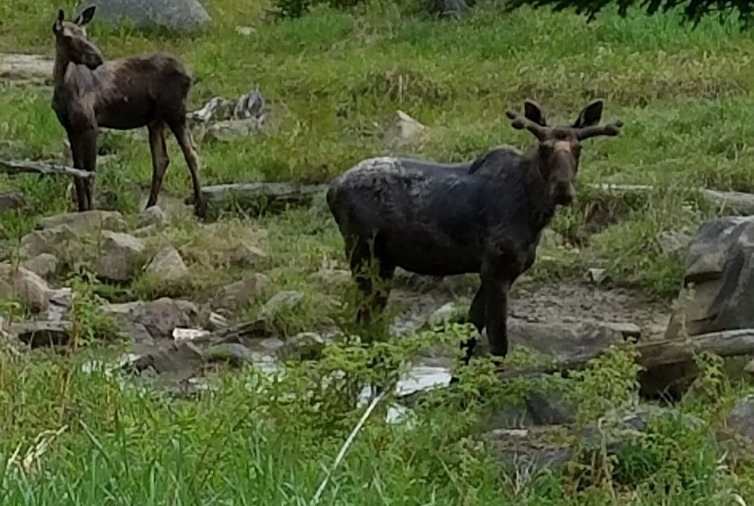 Photo of Outdoor in Franklin County