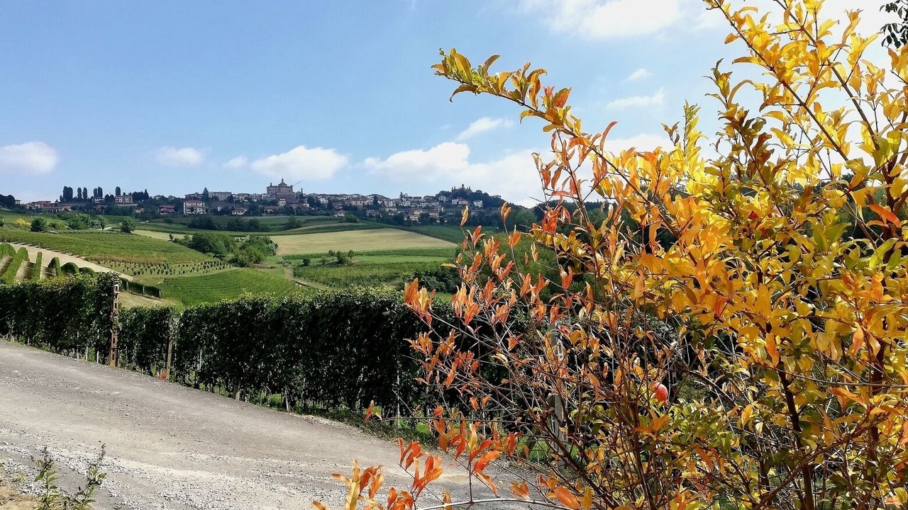 Photo of Outdoor in Novello