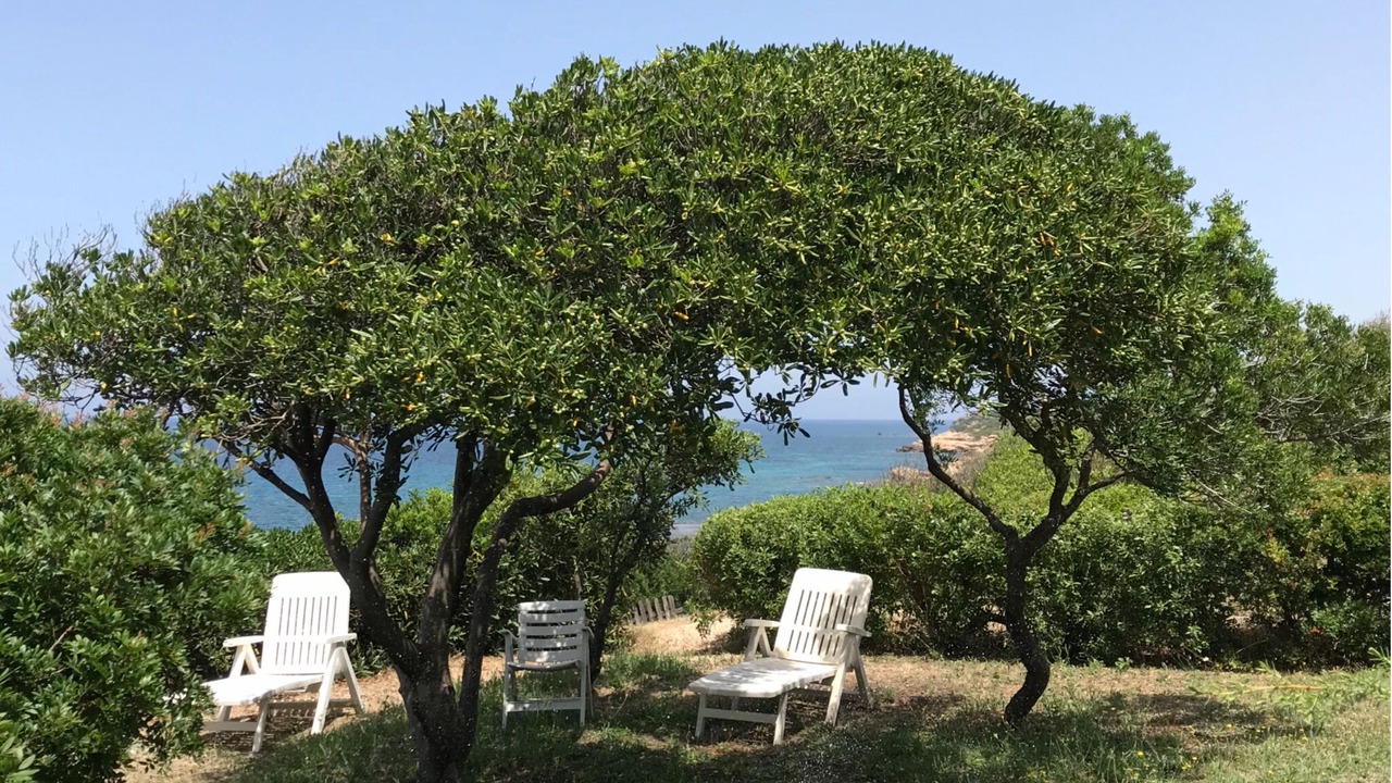 Photo of Outdoor in Castelsardo