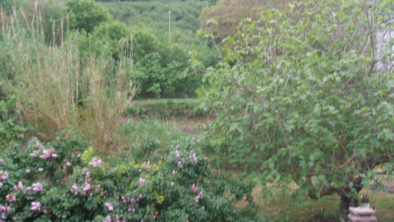 Photo of Outdoor in Villanova Monteleone