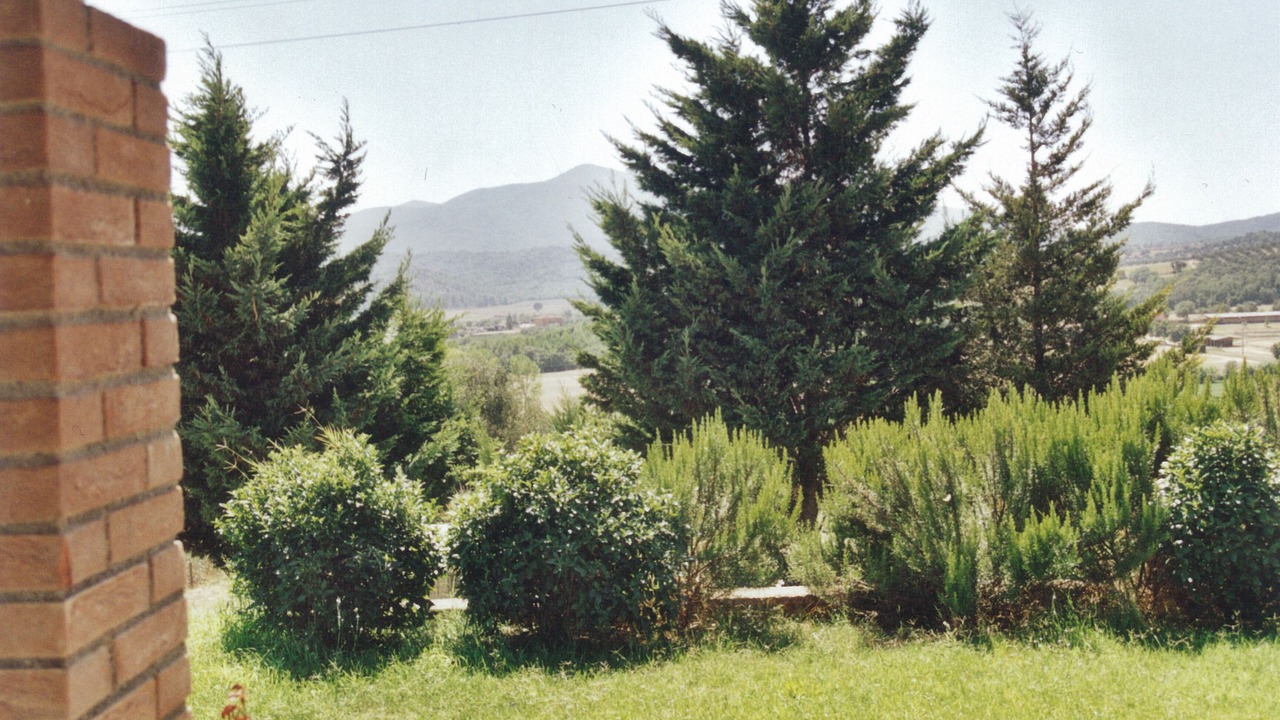 Photo of Outdoor in Grilli