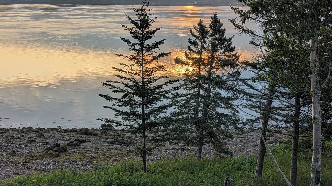 Photo of Others in Lubec