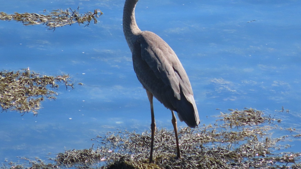 Photo of Others in Lubec