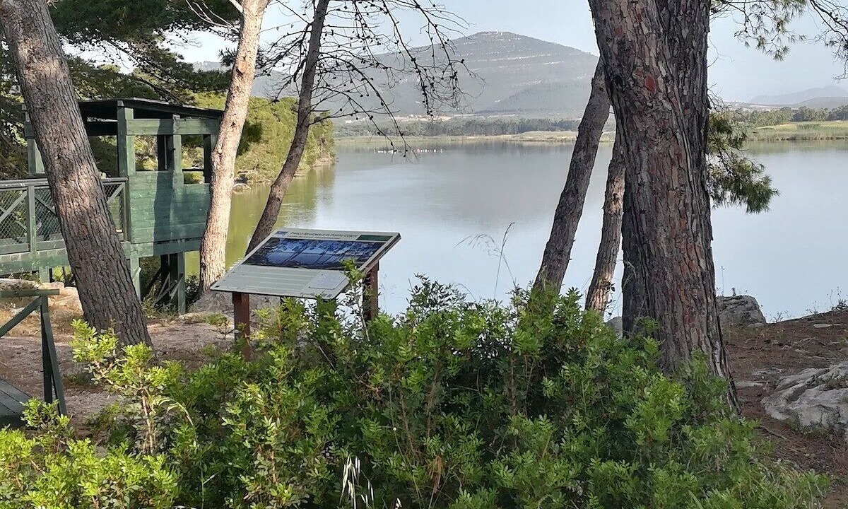 Photo of Others in Alghero