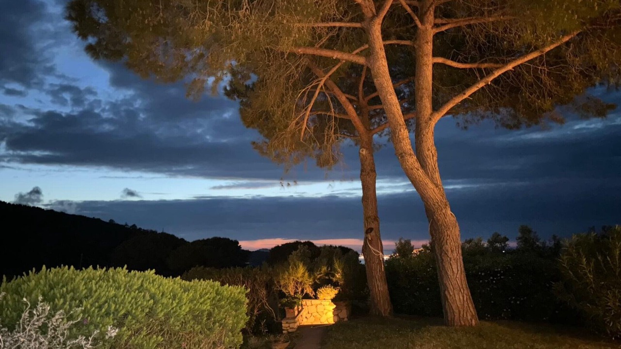 Photo of Others in Portoferraio