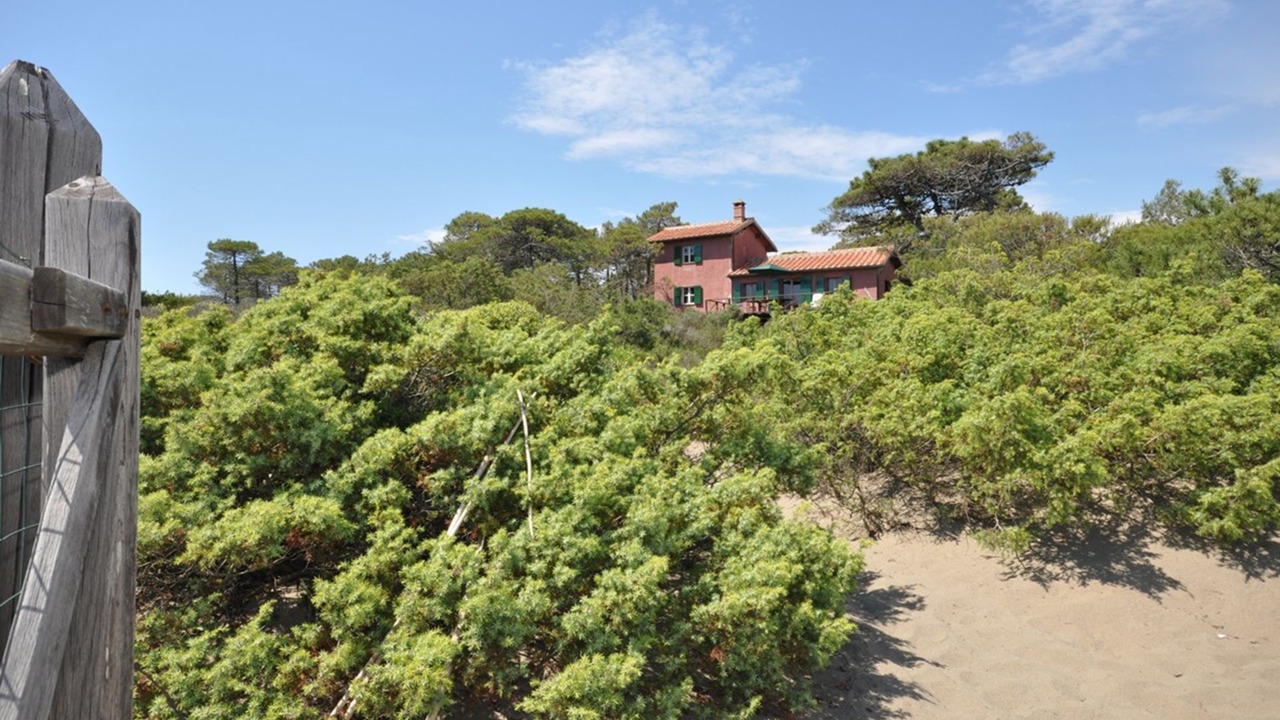 Photo of Outdoor in Castiglione della Pescaia