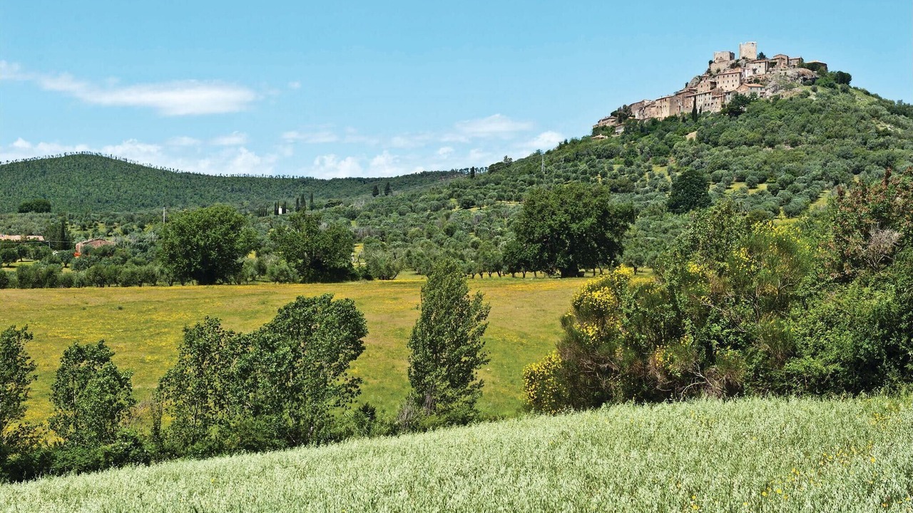 Photo of Others in Gavorrano
