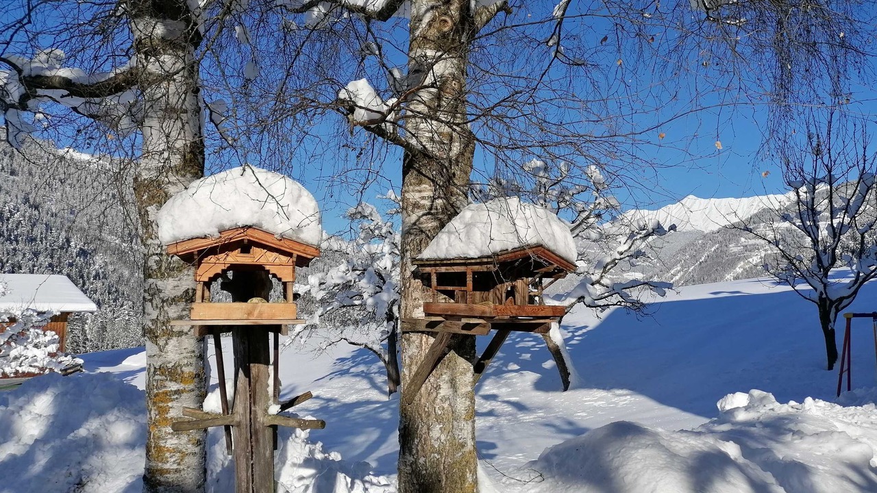 Photo of Outdoor in Ried im Oberinntal