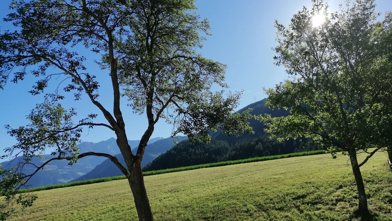 Photo of Others in Ried im Oberinntal