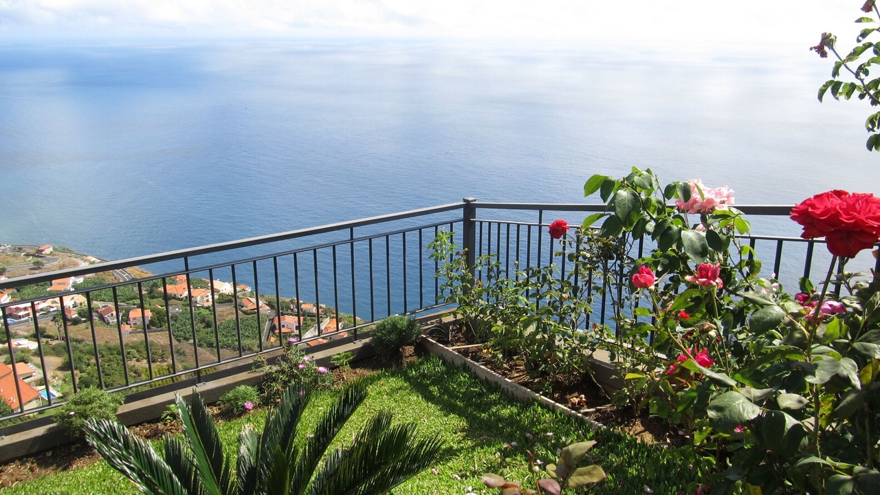 Photo of Outdoor in Arco da Calheta