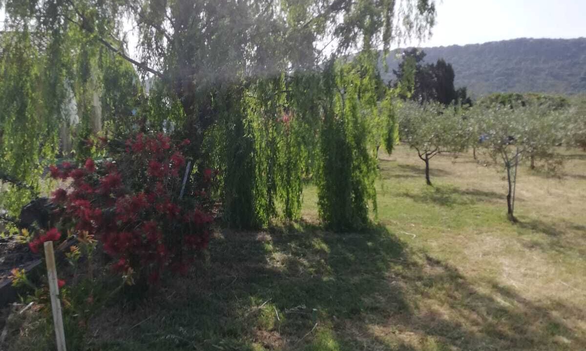 Photo of Outdoor in Alghero