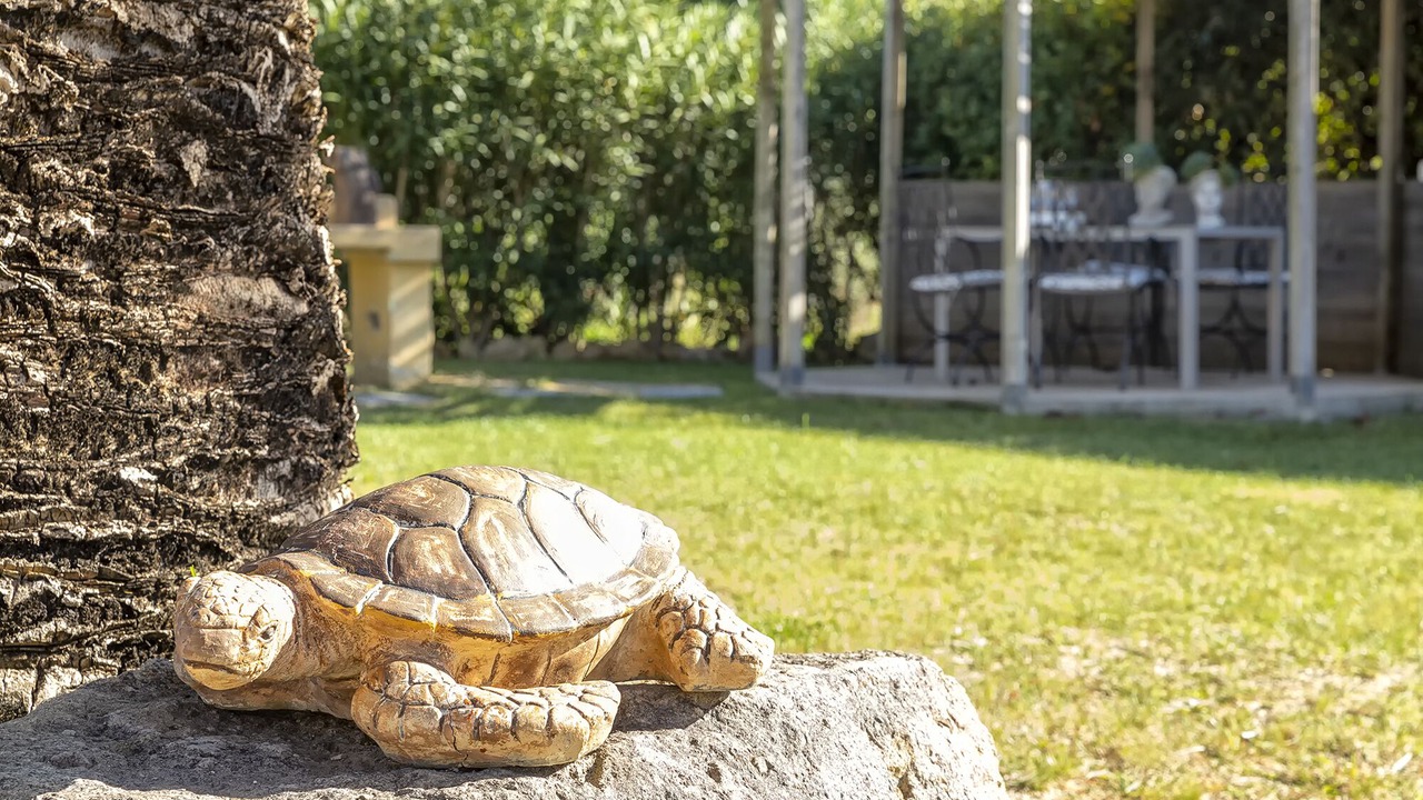Photo of Outdoor in Alghero