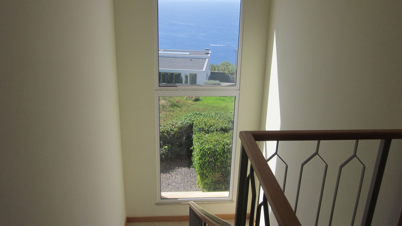 Photo of Others in Estreito da Calheta