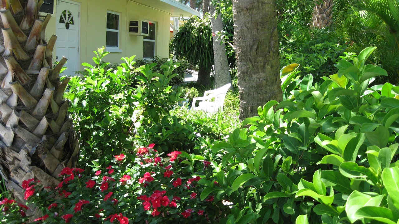 Photo of Outdoor in Indian Rocks Beach