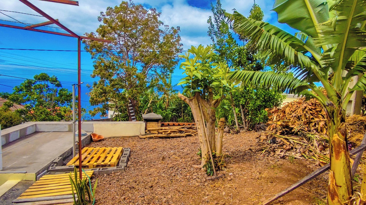 Photo of Outdoor in Arco da Calheta