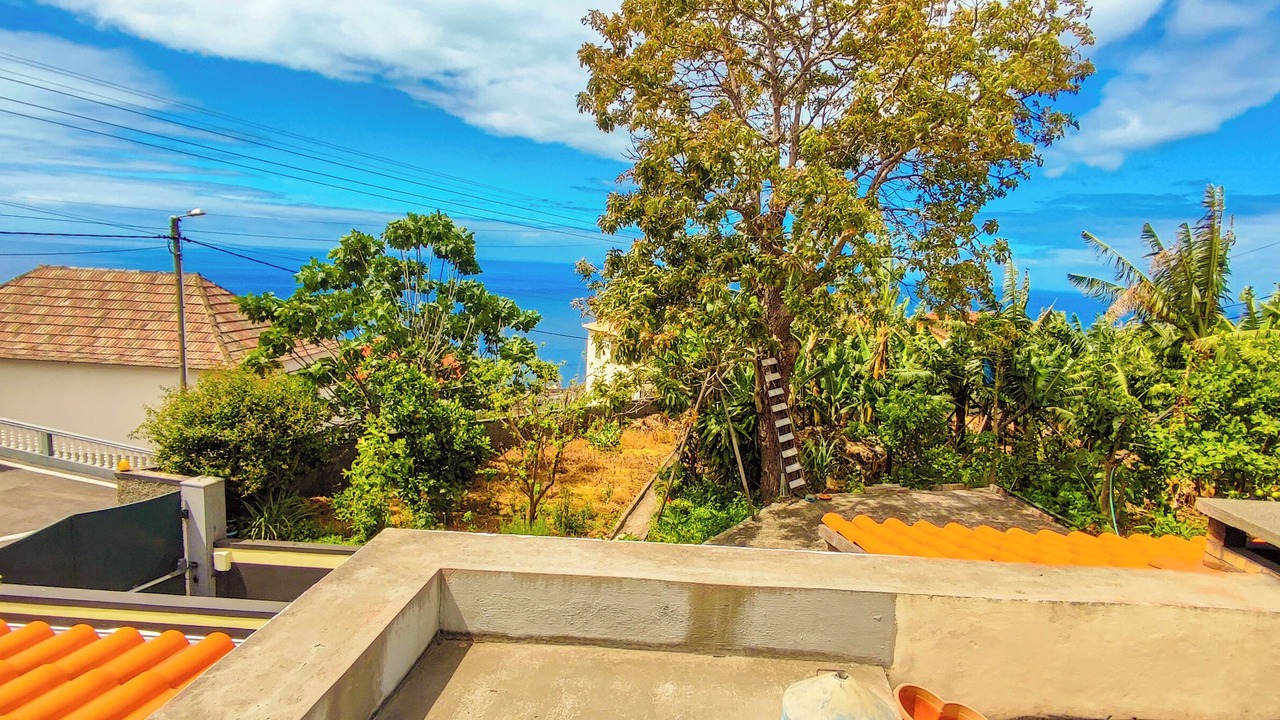 Photo of Outdoor in Arco da Calheta