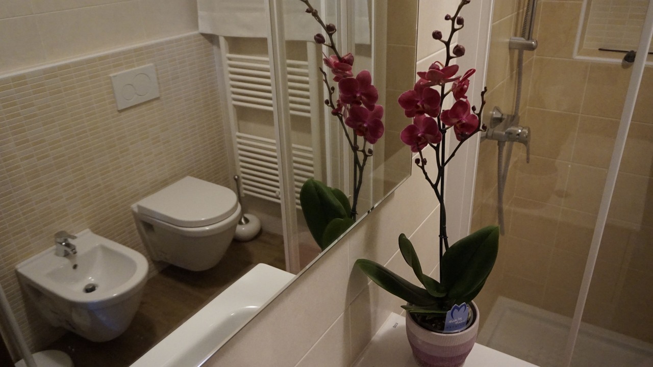 Photo of Bathroom in Albisano