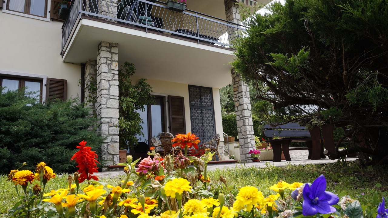 Photo of Outdoor in Albisano