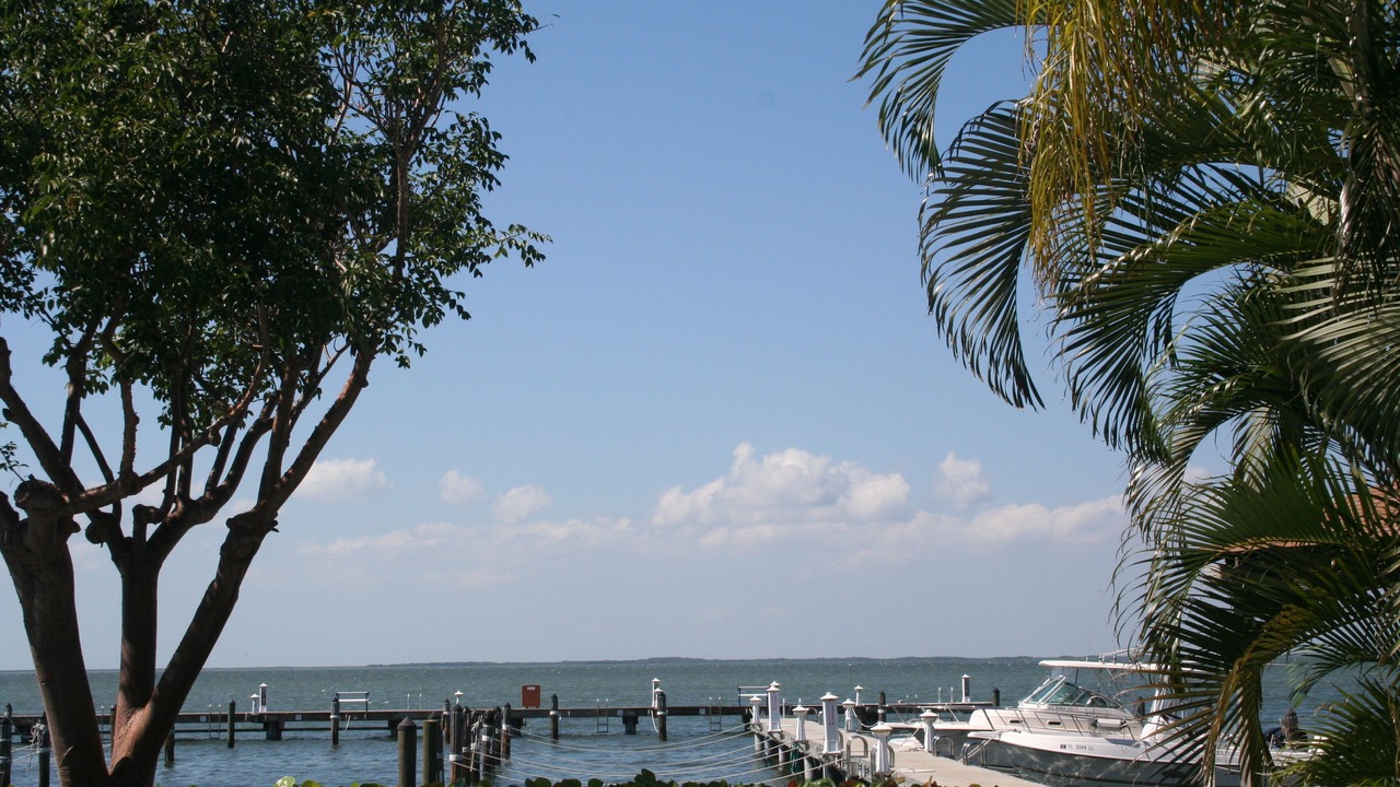 Photo of Others in Key Largo