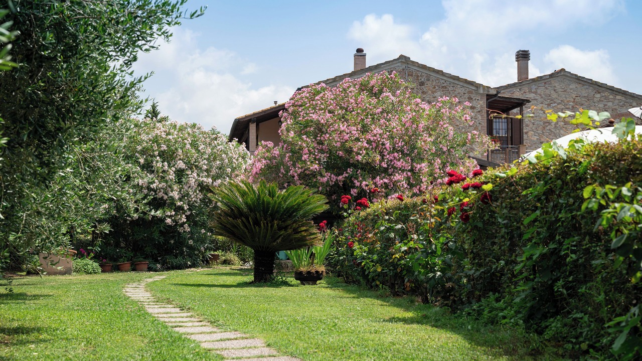 Photo of Outdoor in Campiglia Marittima