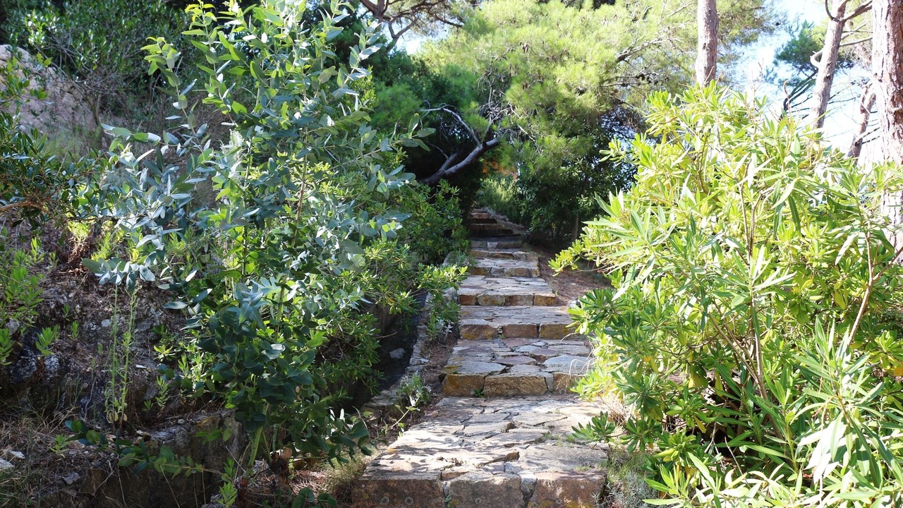 Photo of Outdoor in Portoferraio