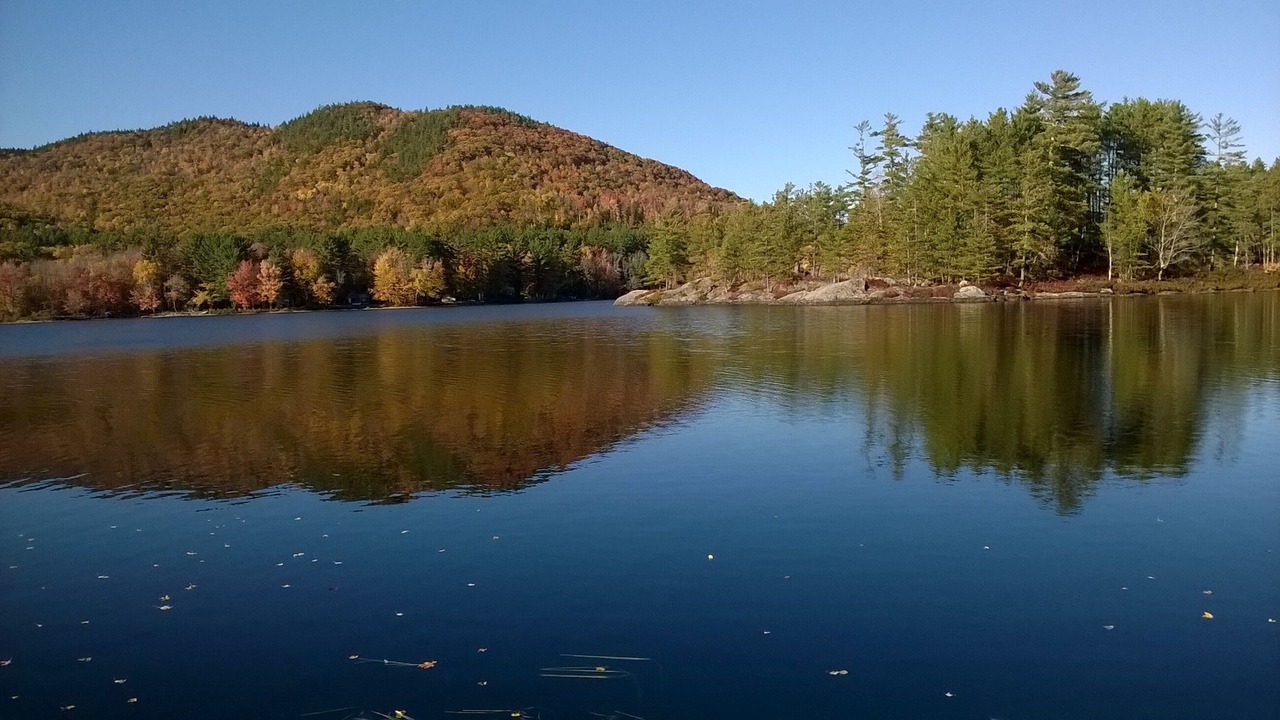 Photo of Others in Bryant Pond
