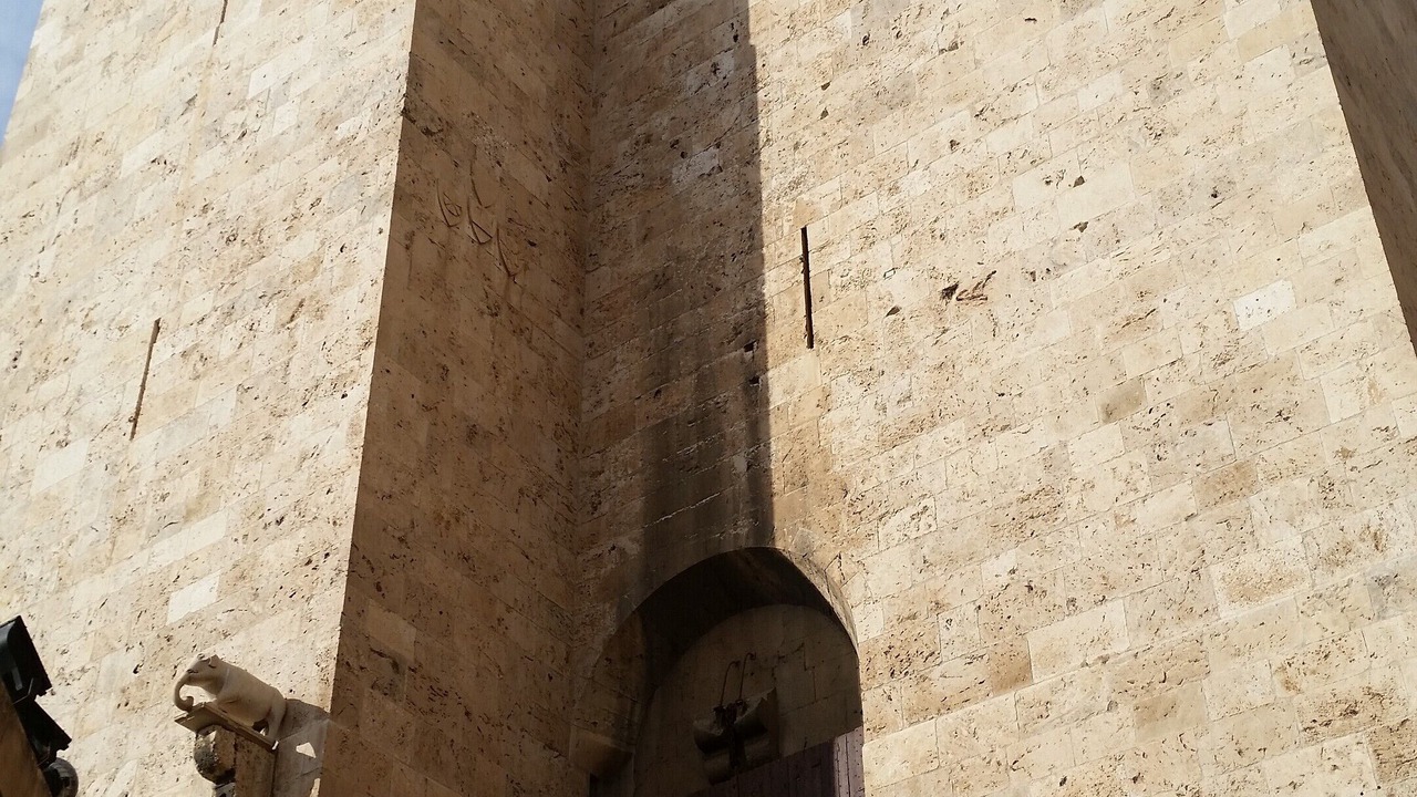 Photo of Others in Cagliari