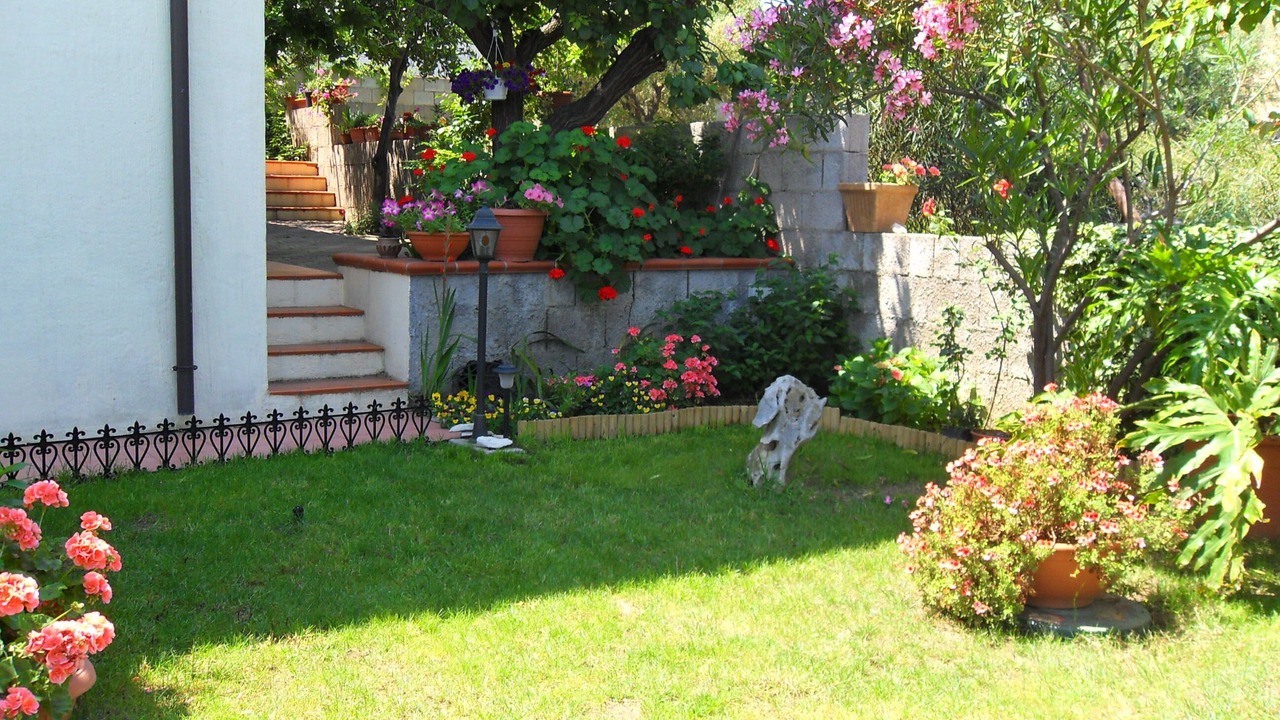 Photo of Outdoor in Girasole