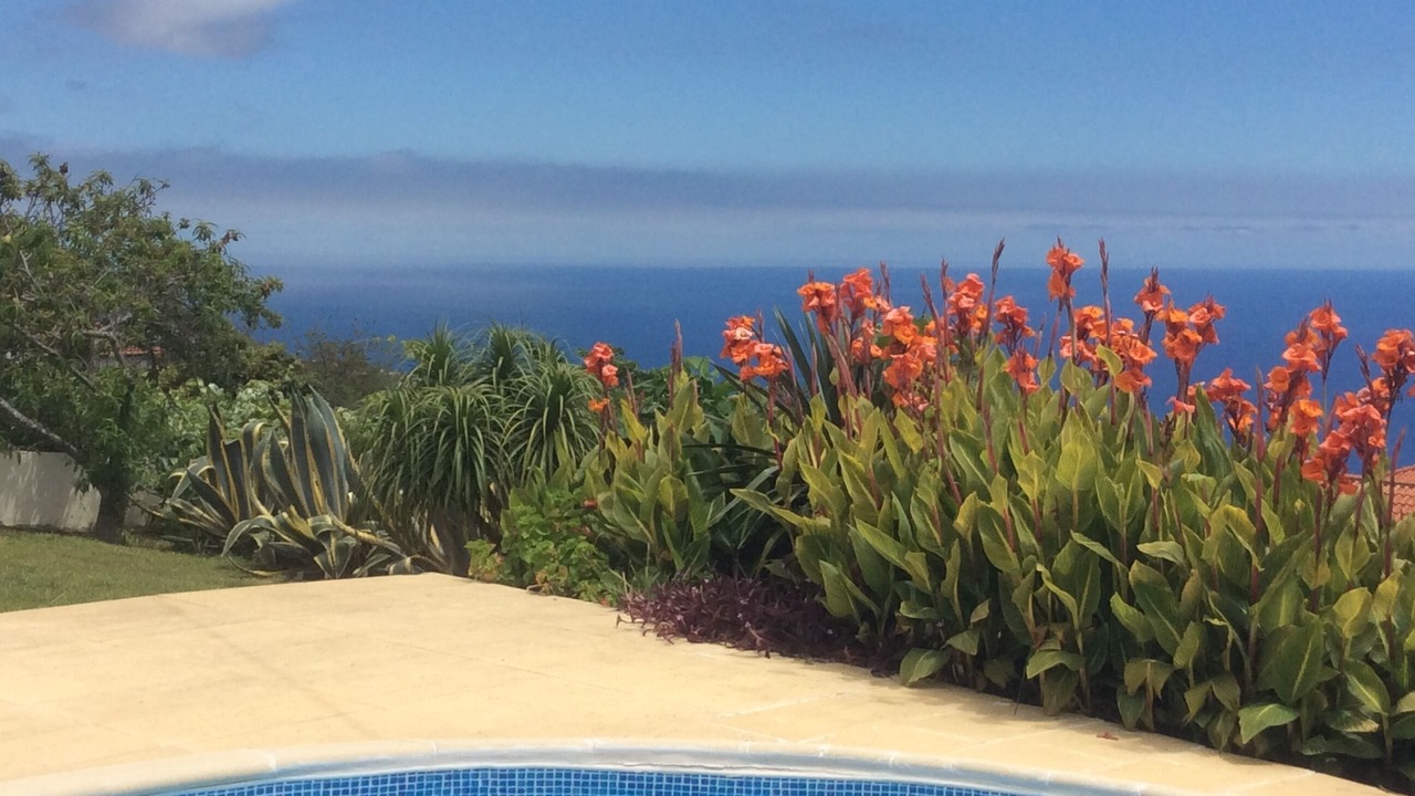 Photo of Outdoor in Estreito da Calheta