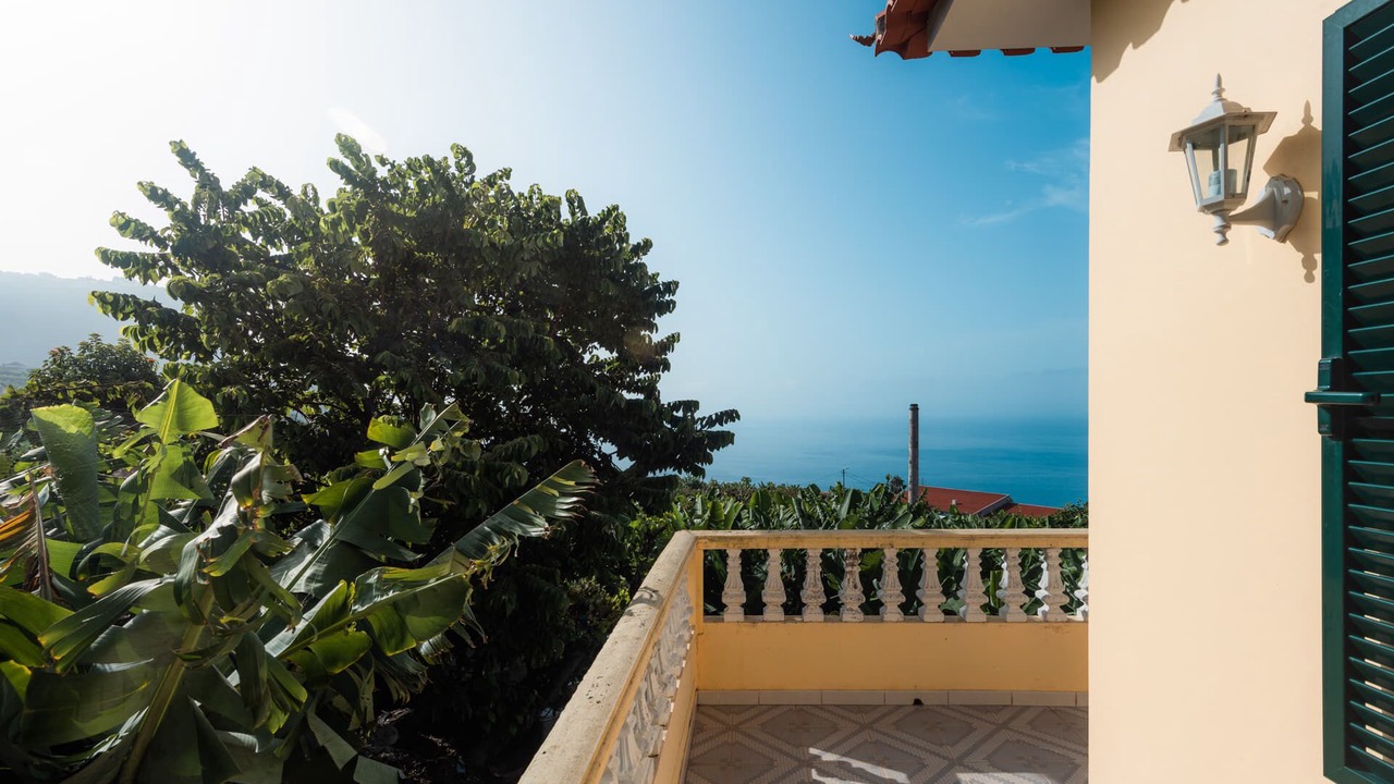 Photo of Outdoor in Arco da Calheta