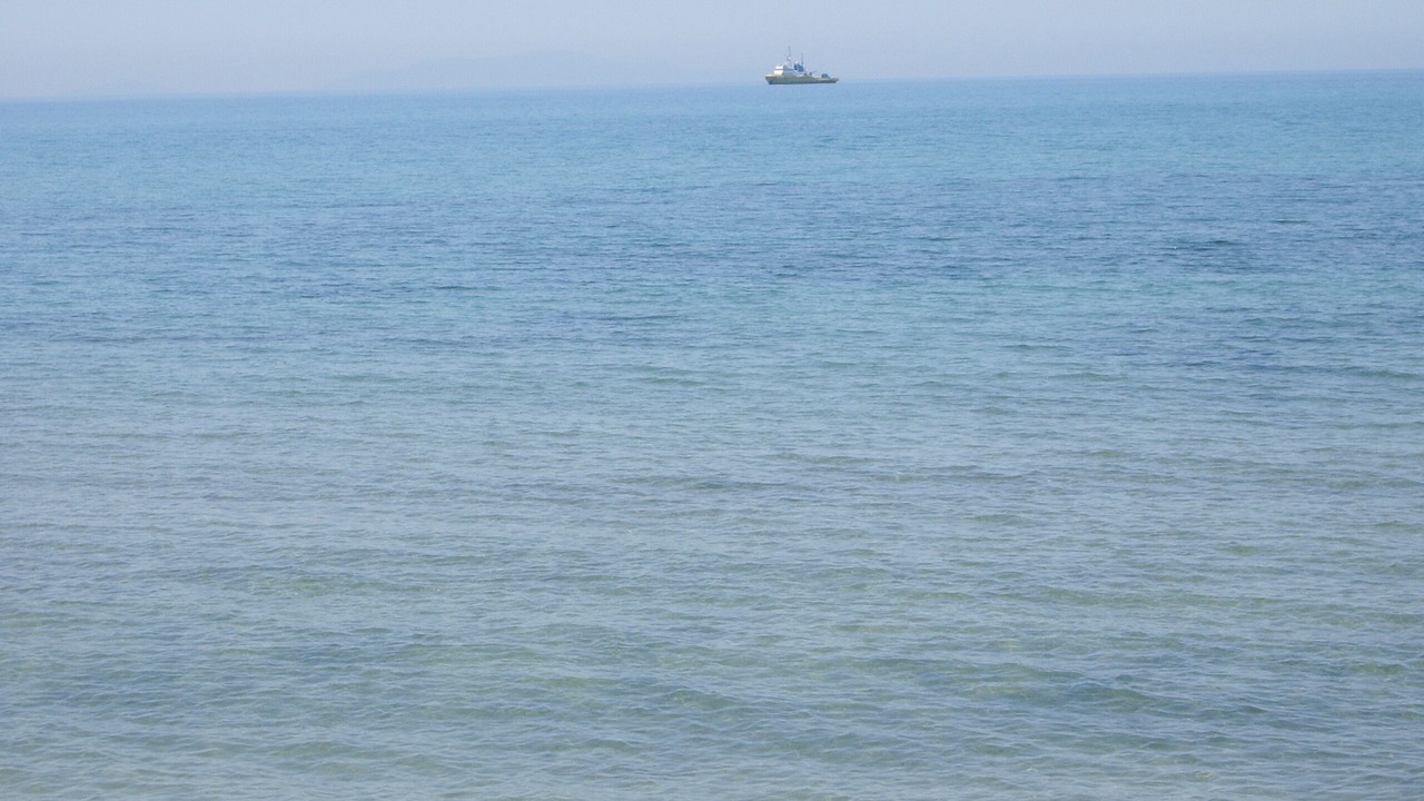 Photo of Others in Sorso