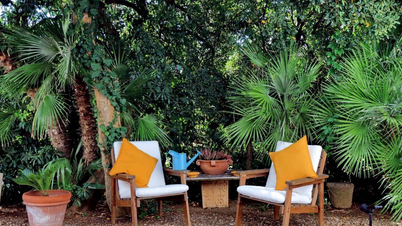 Photo of Outdoor in Santa Marinella